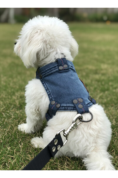 balkonda Dog Collar Small Breed Adjustable Denim Dark Blue