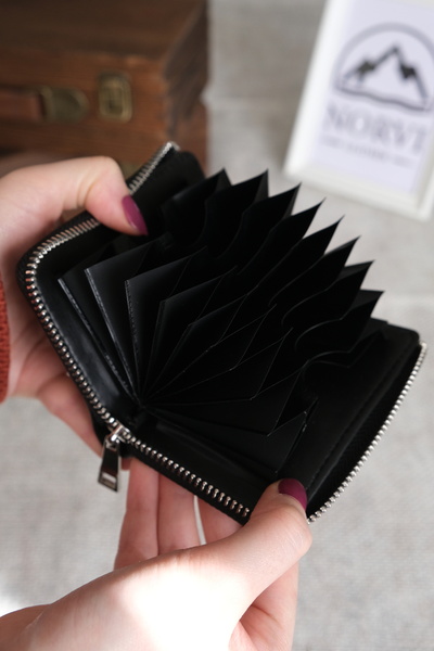 Norvi Leather Half Zippered Accordion Compartment Small Leather Card Holder Black 1266