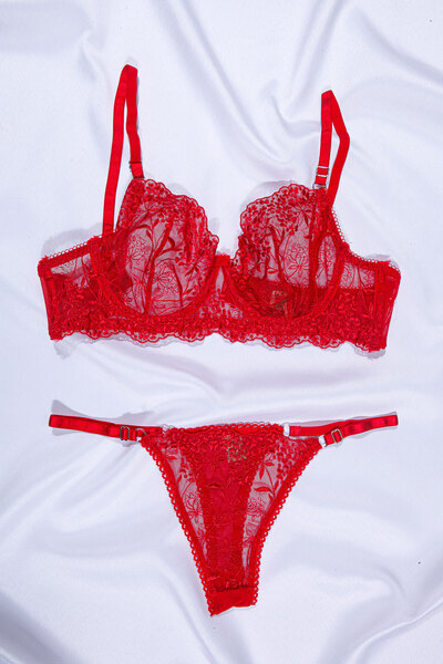 Masal Lingerie Women's Underwear Brode Lace Bra Set