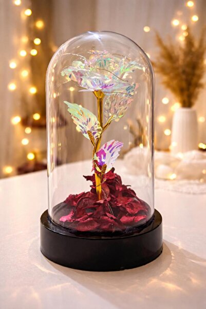 AC Led Işıklı Fanus İçinde Gül-Sevgiliye,Anneye Özel-Sevgililer Günü Romantik...