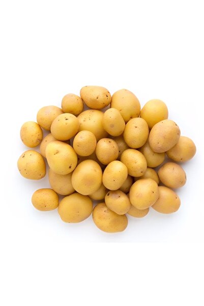 PATATELLO Akdeniz Bölgesi Yerli Baby Patates | Restoran & Kafe Kullanımına Uygun | Taze Ürün - 5 kg