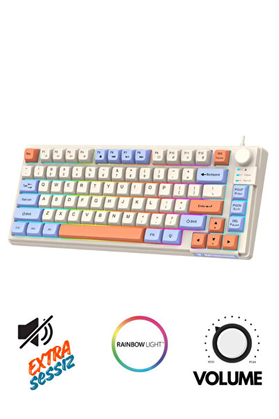 ATAsoft ELEKTRONİK Since 2021 K81 Extra Sessiz Gaming & Ofis 81 Tuş Göstergel...