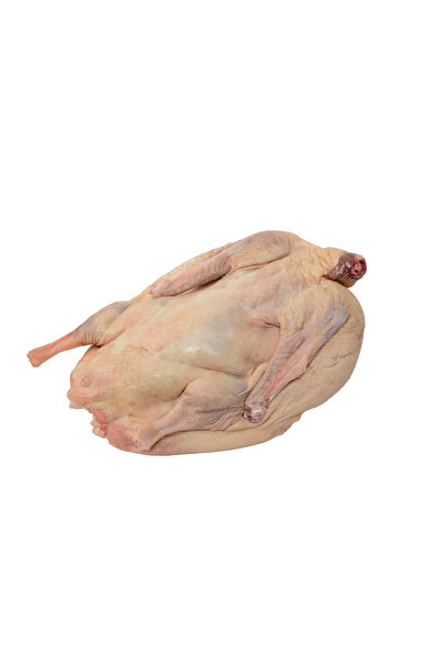 yöresel Kars Kaz Eti (2100-2300 Gr)