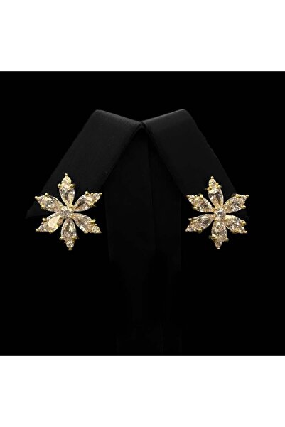 Generic A luxurious gold earring set with a unique design and a color guarantee.