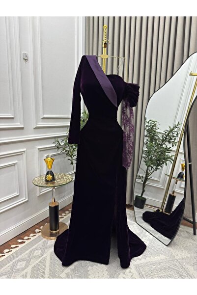 Special-DIARA royal velvet dress