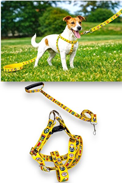Angelapets Temali Dog Chest Collar and Leash Set