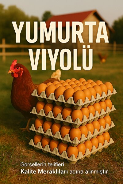 Kalite Meraklıları YUMURTA KARTONU VİYOLÜ NATUREL RENK 30'LU (30 ADET) Premiu...