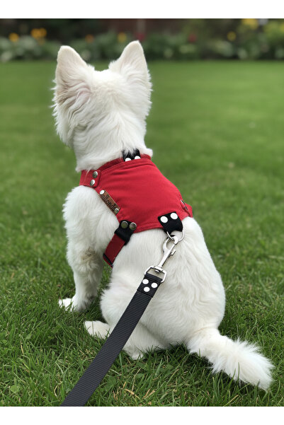 balkonda Dog Collar for Small and Mini Breeds Adjustable Velvet Red