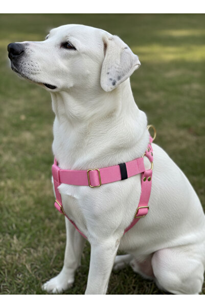 balkonda Dog Collar Medium Breed Adjustable Column Cord Pink