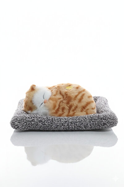 BESTTOYS Miyav sesi çıkaran uyuyan kedi