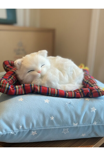 GiFi Peluş Yavru Kedi Oyuncak Minder Üstünde Uyuyan Kedi Orta Boy