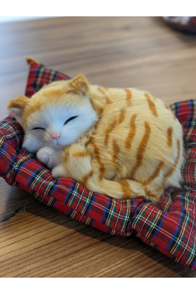 GiFi Peluş Yavru Kedi Oyuncak Minder Üstünde Uyuyan Kedi Orta Boy