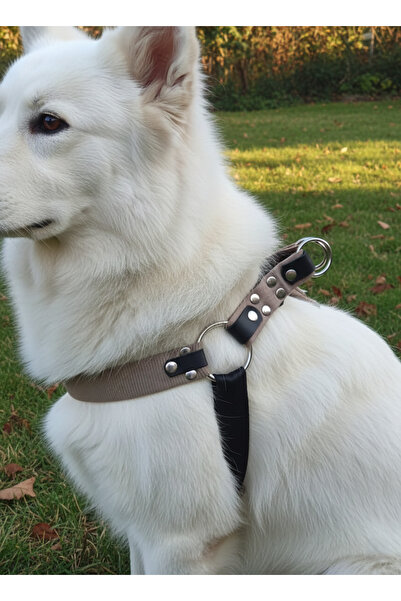 balkonda Dog Collar Medium Breed Adjustable Column Cord Sand & Black