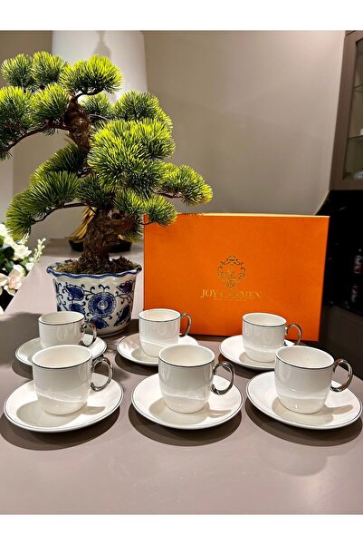 Home Simple Looking Porcelain Coffee Cup Set for 6 People with Silver Details