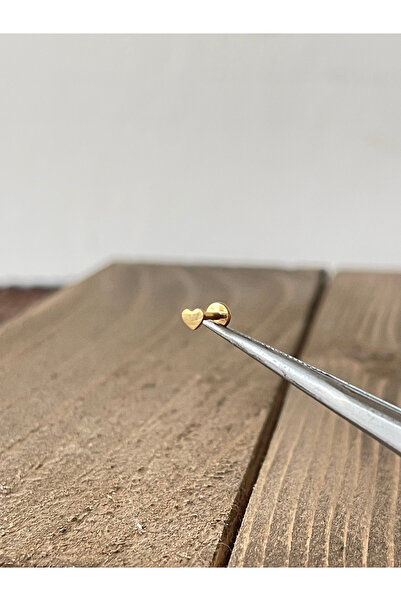 Rupen Kraft Yüksek Kalite G23 Titanium Kalp Titanyum 6x1.2mm Altın Labret Pie...
