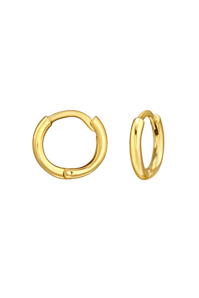 Sophia Collection Earrings 925 Silver plated with 24K gold, Tortita huggie hoops model 10mm and zirconium