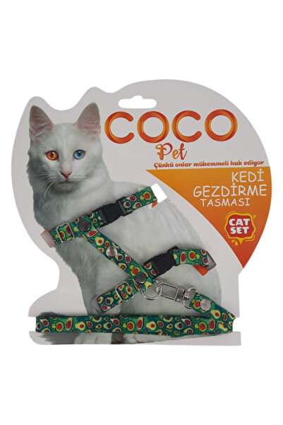 chittoshop طوق قابل للتعديل - 22-45 سم - للقطط والكلاب ذات السلالات الصغيرة