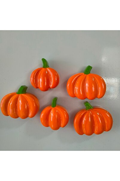 Minihobiev 5li kabak magnet, buzdolabı mıknatısı , dolap süsü , dekoratif aks...