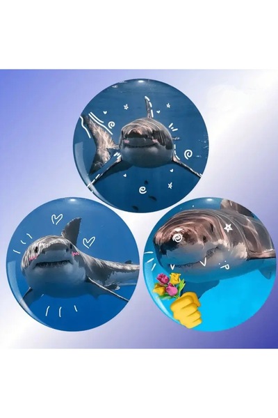 Fivy 3’lü Shark Köpek Balığı Rozet Seti