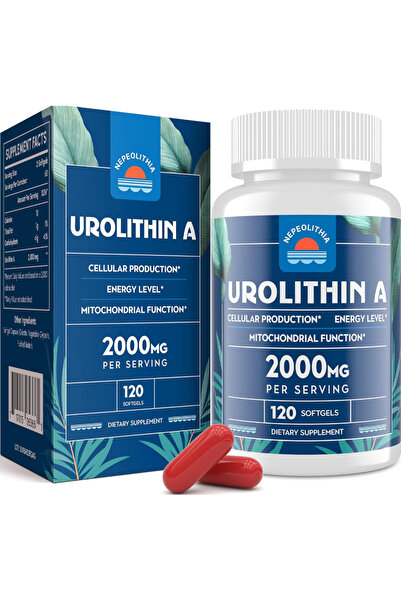 Nepeolithia Urolithin A 2000mg, Aging, Antioxidants and Mitochondrial - High ...