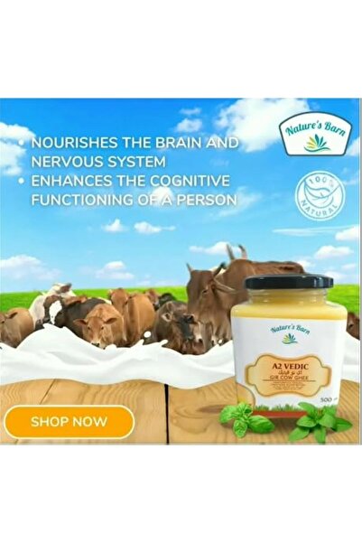 Natures Barn Nature's Barn A2 Vedic Gir Cow Ghee | Traditional Bilona Method | Traditional Curd Churned (500 ML)