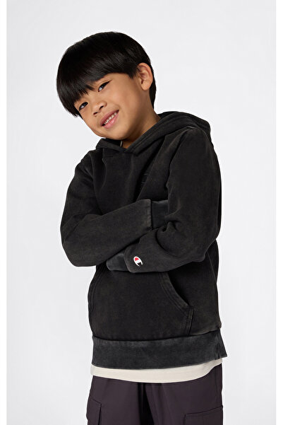 Champion Icons Plush Wash Hooded Sweatshirt