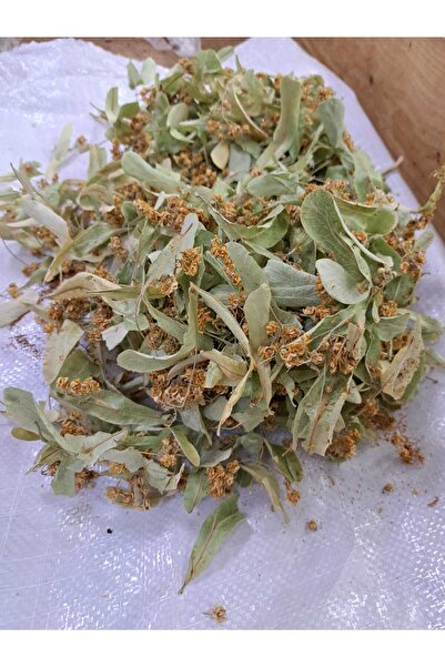 TARIMSAN DOĞAL IHLAMUR 1 kg.( Yeni hasat,Çiçek ve yaprak)