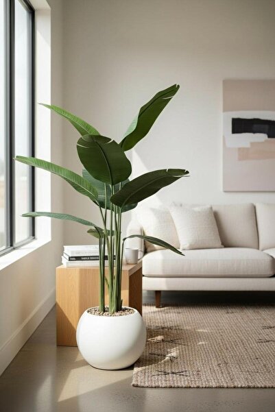Casco Artificial banana tree with a stylish 120cm round pot