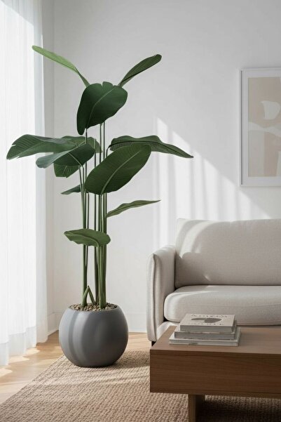 Casco Artificial banana tree with a 180cm round pot