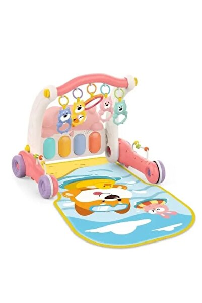 OEM 2 in 1 Activity Center and Walker