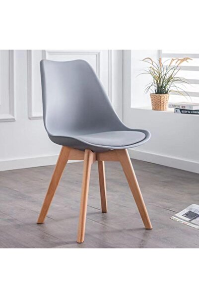 Arabest Dining Chair with Cushion, Modern Dining Chair for Living Room, Kitchen, Meeting Room, Balcony