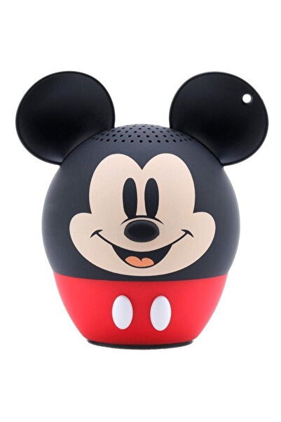 Bitty Boomers Portable Bluetooth Speaker