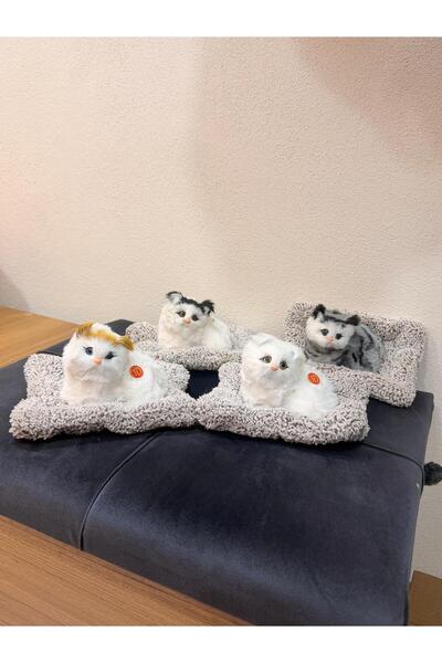 OEM Tatlı Sebep Sesli Uyuyan Kedi Oyuncağı – Miyavlayan Kedi Pelüş Uyuyan Kedi