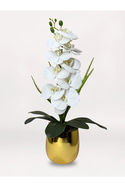 Acarya Design GOLD SAKSIDA ISLAK ORKİDE ARANJMANI
