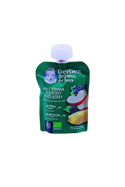 GERBER مهروس عضوي للأطفال بنكهة التفاح والموز والتوت، 6 أشهر، 90 غرام