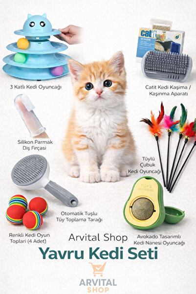 Arvital Yavru Kedi Seti Kedi Oyuncakları Kedi Nanesi Tüy Toplama Tarağı ve Ba...