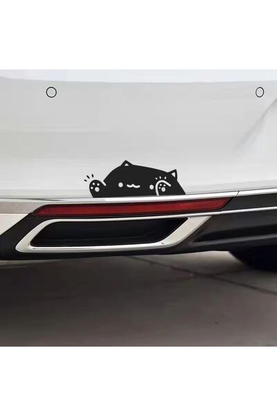 ÖZGÜL REKLAM Kedi Yavrusu sticker Araba sticker / Motor Sticker / Laptop Sticker