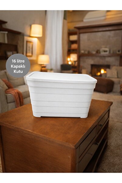 Nesto Home Çok Amaçlı 16 Litre Kapaklı Saklama Kutusu, Ev & Ofis Düzenleyici