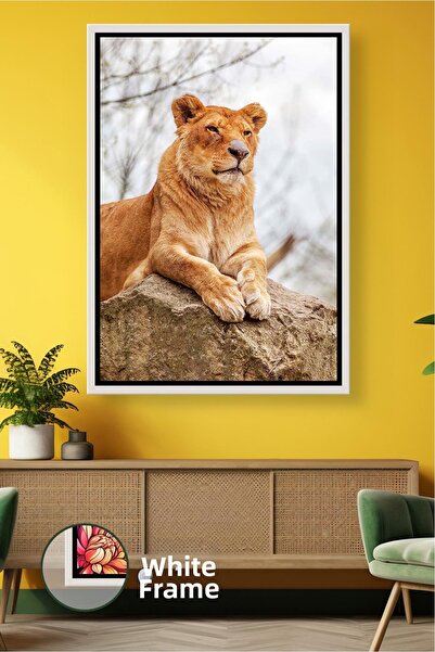 KOSS Dijital Εικόνα με θέμα τη φύση με θηλυκό λιοντάρι, ζωγραφική με ζώα, δια...