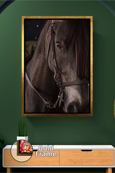 KOSS Dijital Pictură pe perete cu cal negru în plan apropiat, pictură decorat...