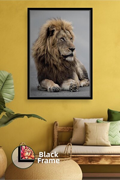KOSS Dijital Pictură oficială cu leu, cu tematică de safari, cu animale, acce...