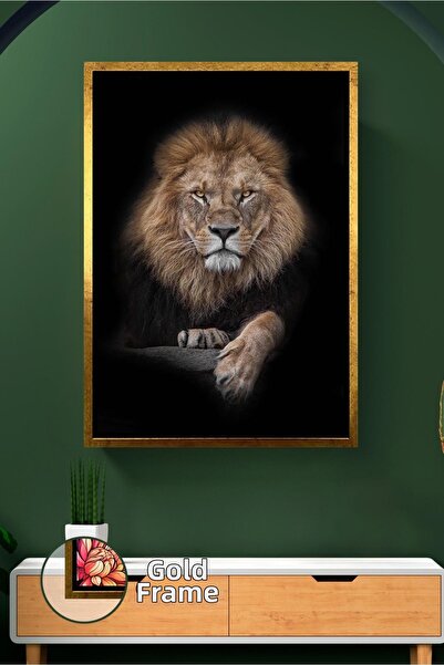 KOSS Dijital Fundal negru, imagine de leu, fotografie de animale în apropiere...