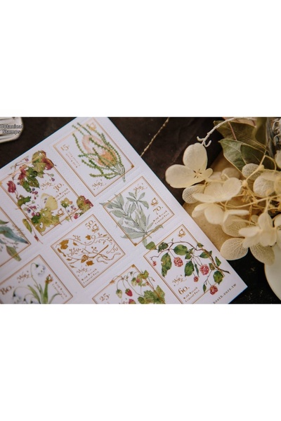 İthal Autocolant B10-Ours studio 2 foi