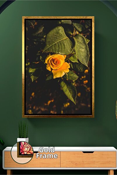 KOSS Dijital Trandafir galben sub lumina naturala in gradina, decor calduros ...