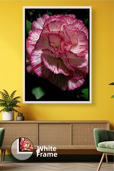 KOSS Dijital Pictură cu flori de cuișoare albă roz, pictură modernă pe pânză ...