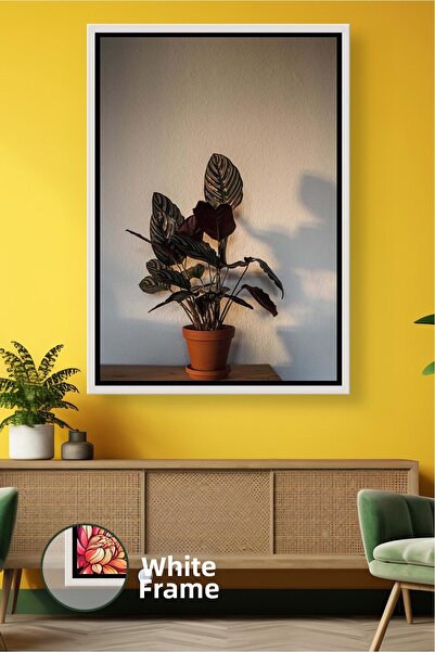 KOSS Dijital albastru cobalt ı Plantă Decor minimist pentru interior Birou mo...