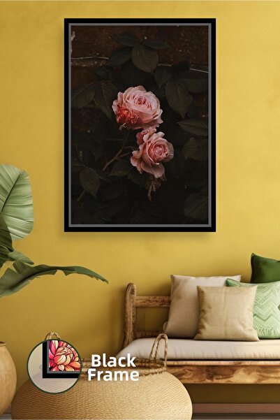 KOSS Dijital Floare de trandafir roz pudrat pe fundal închis, decor de perete...