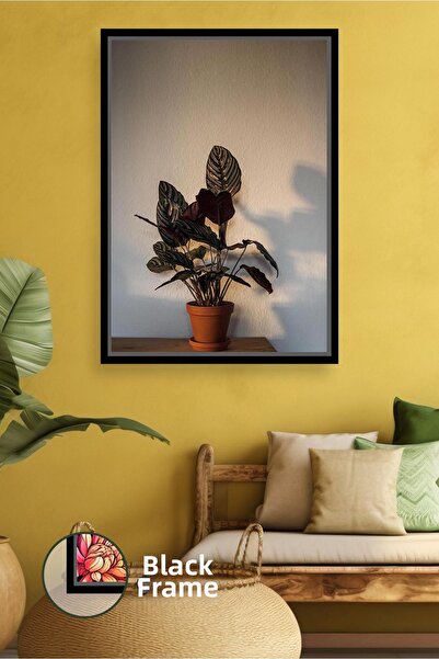 KOSS Dijital albastru cobalt ı Plantă Decor minimist pentru interior Birou mo...