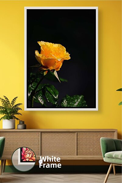 KOSS Dijital Picătură de apă cu trandafir galben cu fundal negru Decor elegan...