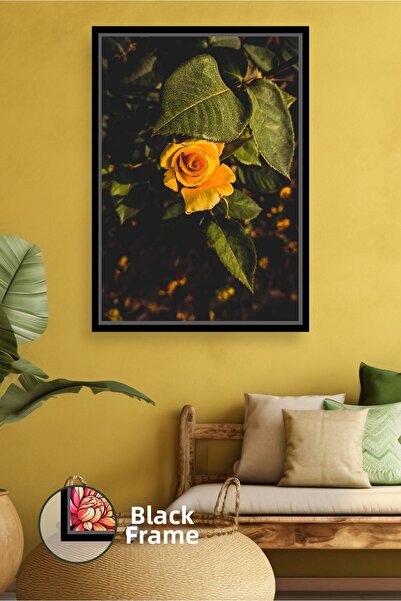 KOSS Dijital Trandafir galben sub lumina naturala in gradina, decor calduros ...